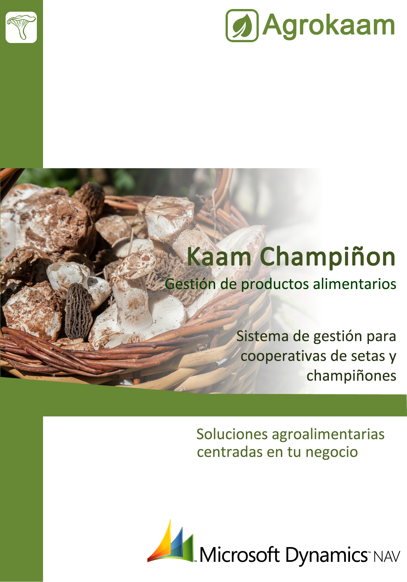 Guía champiñon