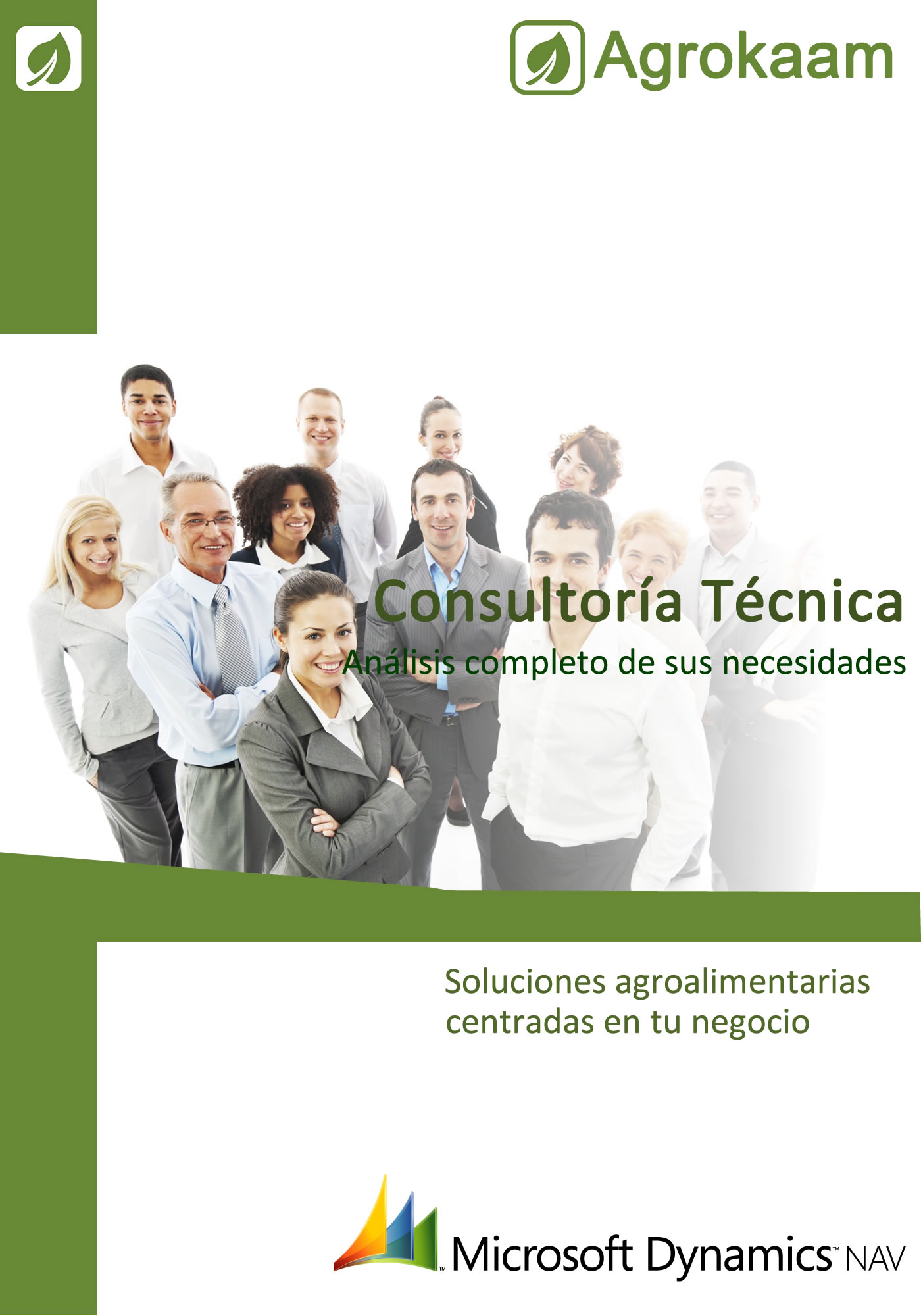 Guía consultoría