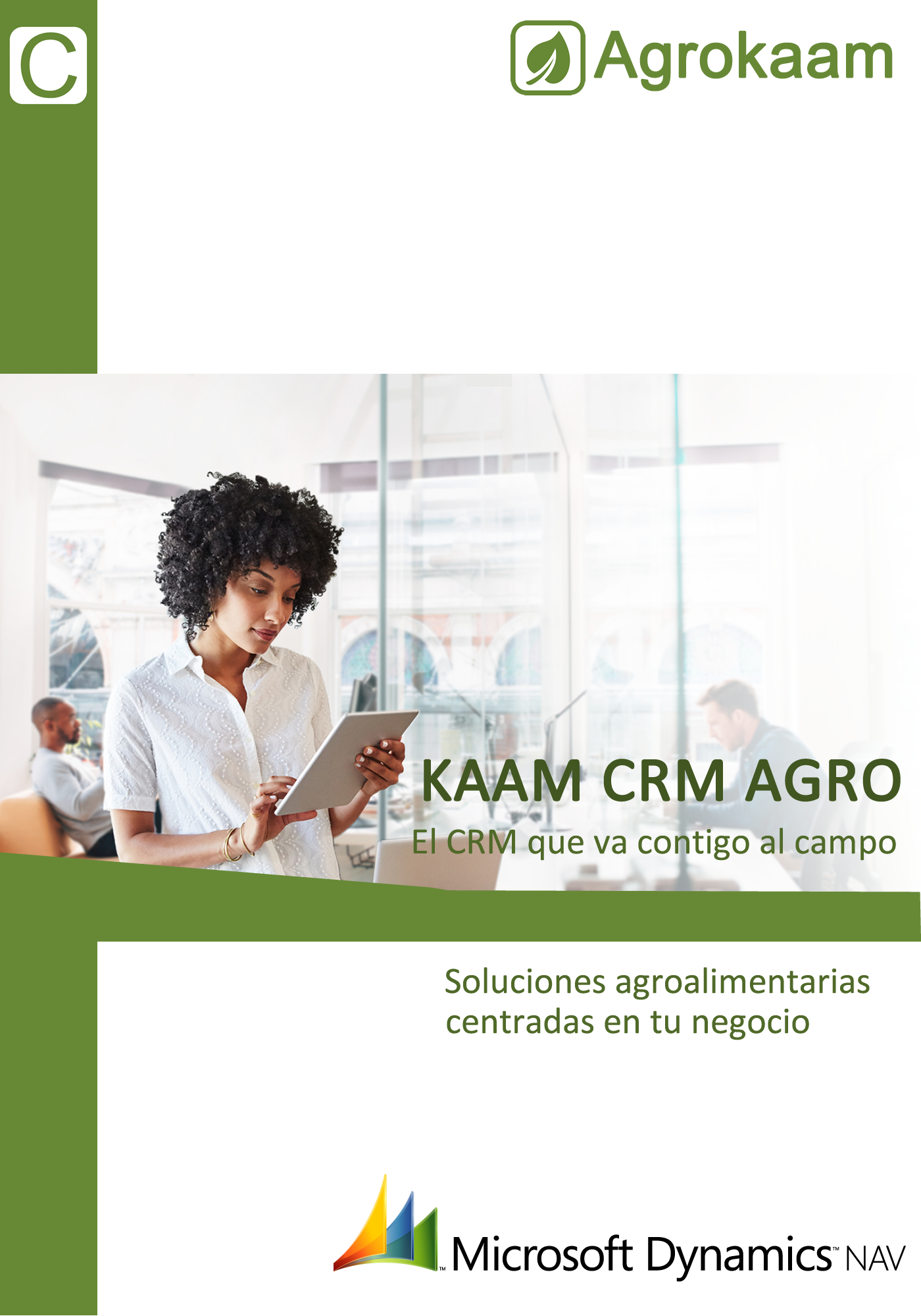 Guía CRM